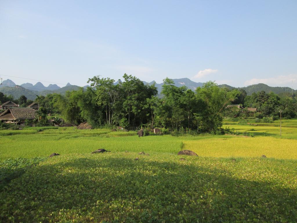 Dong Que Homestay-Tours-Motorbike, Car Rental, Hiking Хазянг Экстерьер фото